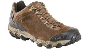 Mens Bridger Low Waterproof